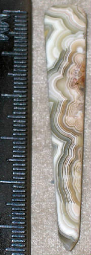 gccl003.jpg