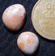 gcmg003.jpg