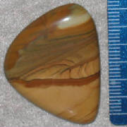 gcoj003.jpg
