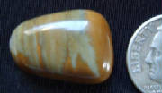 gcoj004.jpg