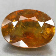 gfsh008.jpg
