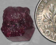 grtu004.jpg