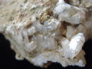 msay005b.jpg