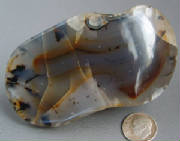 msma001.jpg