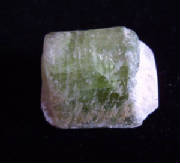 mspg009a.jpg